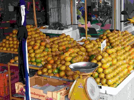 Chumphon 08.jpg - Als Beweis: Keine Mangos in Chumphon